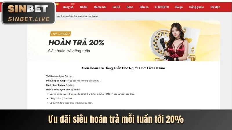 Hoàn trả hàng ngày/tuần tại luck8 nhà cái